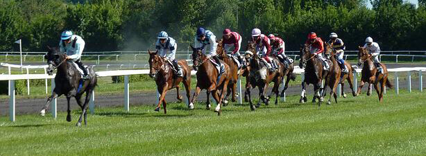 About Track Papers and horse racing & handicapping